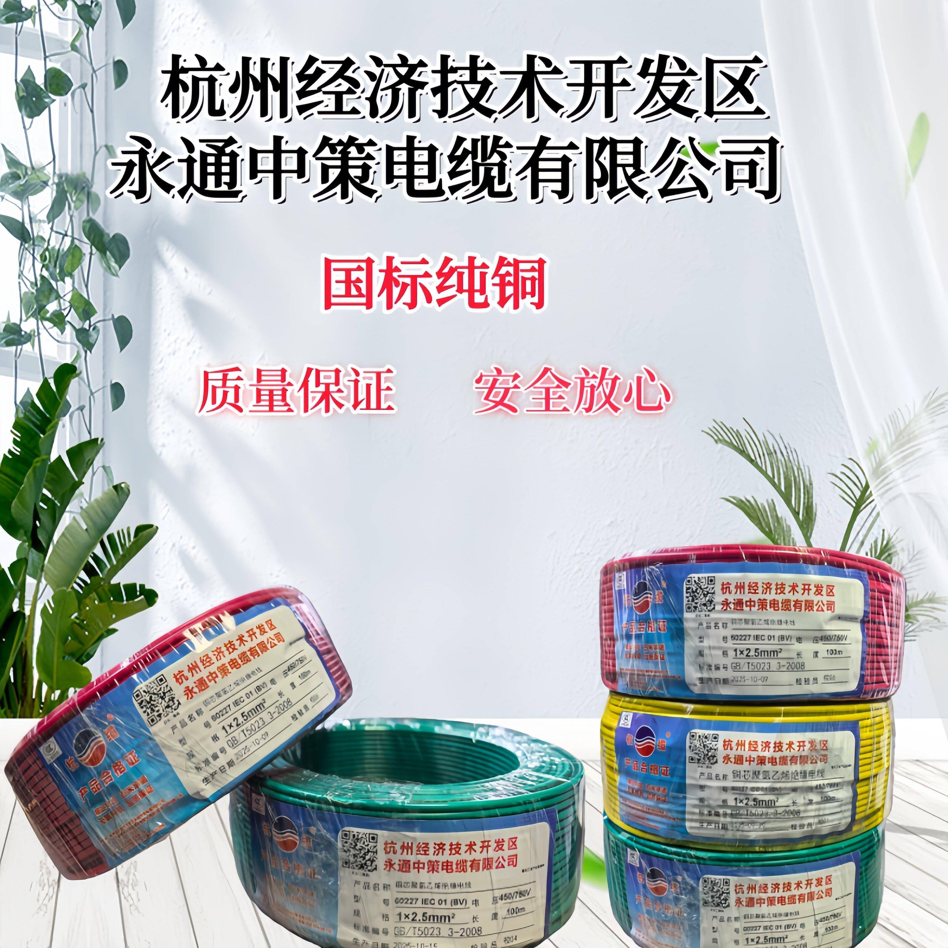 杭州杭缆牌永通中策BV1.5/2.5/4/6/10平方单芯线国标电线足米