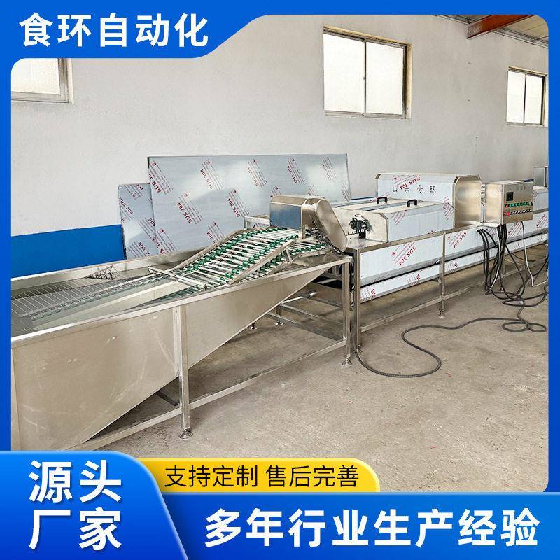 自动洗蛋机鹌鹑蛋鸡蛋鸭蛋洗刷喷油风干流水线松花蛋去泥清洗设备