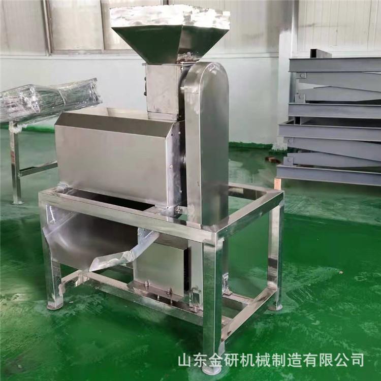 大型不锈钢水果打浆机 杨梅葡萄果酒加工设备 双道快速去核打泥机
