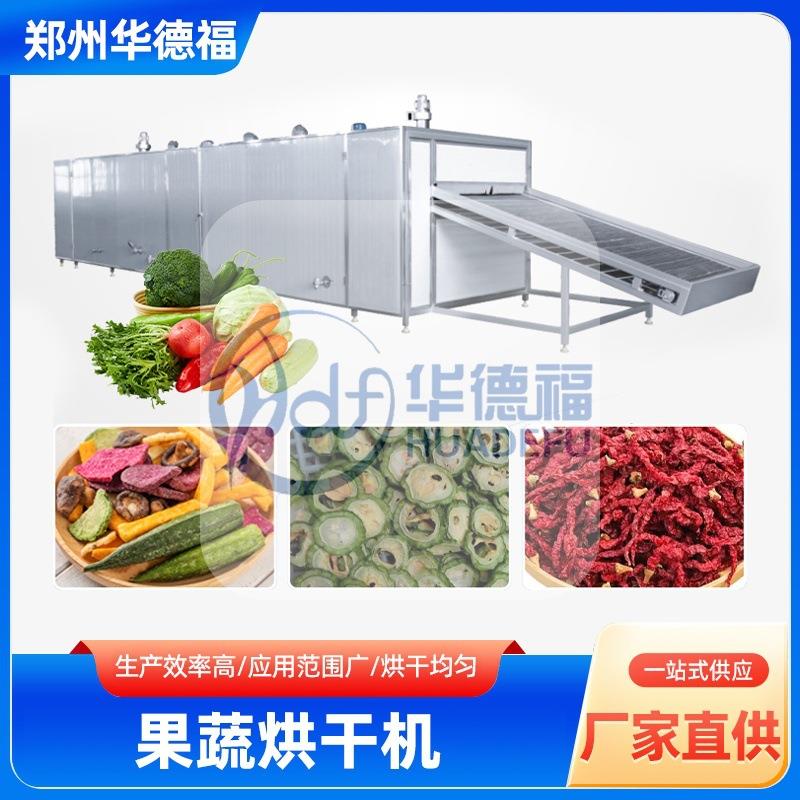 豆角豇豆辣椒网带烘干机水果蔬菜脱水干燥机黄花菜漂烫杀青产线
