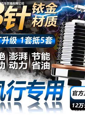 风行SX6菱智T5/M6/CM7/S500景逸X6/XL/XV/S50/X3双铱金火花塞X5