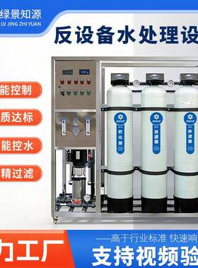 0.5吨小型RO反渗透纯水设备 商用净水系统 全自动水处理设备厂家
