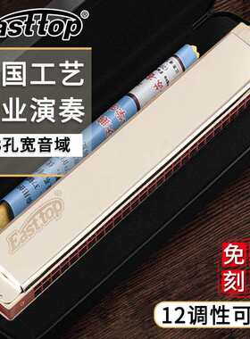 德国进口音簧东方28孔重音复音A/B/C/D/E/F/G调初学专业演奏口琴