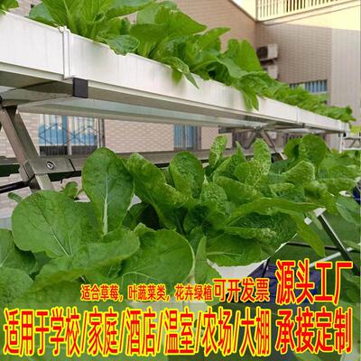 NFT无土栽培蔬菜草莓种植A字架水培设备阳台管道种菜机源头工厂家