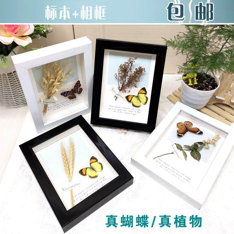 创意干花植物祝福贺卡立体蝴蝶标本7寸相框装饰件diy手工定制包邮,家居饰品,标本类装饰画,淘宝优惠券,粉丝福利购,淘宝优惠卷