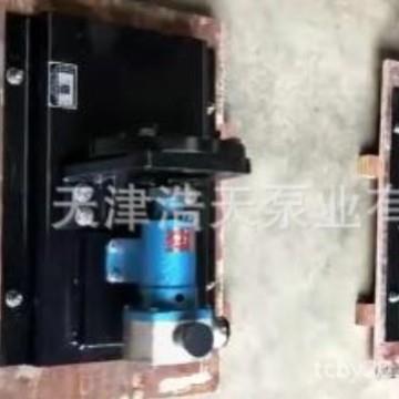 伺服挠性转子泵TDNZS污水废液化工原料挠性泵海水柴油挠性泵