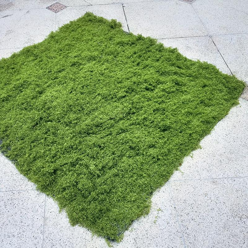 彷真苔藓草皮造景假青苔微景观布置草坪盆景铺面室内造景苔藓草坪