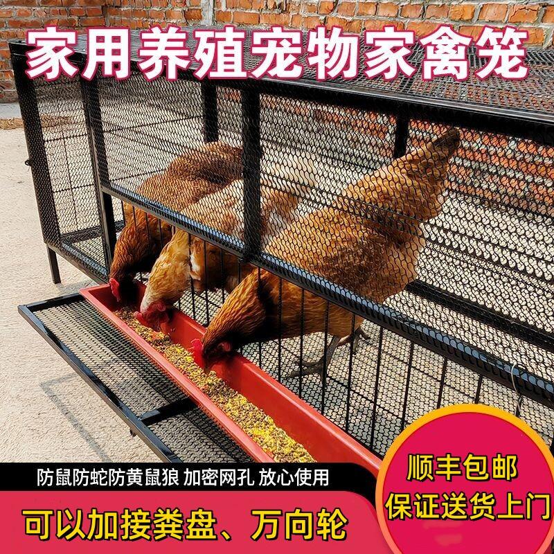 鸡笼家用室内防黄鼠狼自动出蛋饲养笼铁丝网鸽子鸭兔不锈钢养殖笼