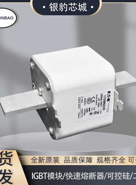 全新熔断器170M6018 170M6019 170M6020 170M6021保险丝现货