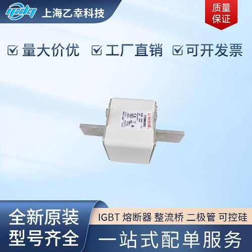 巴斯曼熔断器 170M6020 170M6021 170M6028 170M6029 170M6035