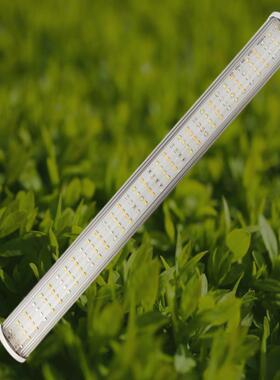 跨境2G11植物灯管全光谱植物生长补光灯60w大棚室内植物补光灯管