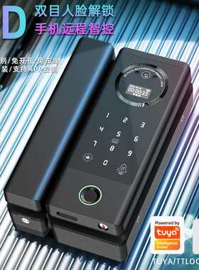 人识别密码能锁办公室电子锁智门脸锁双HGS5开玻璃门电子锁带小屏