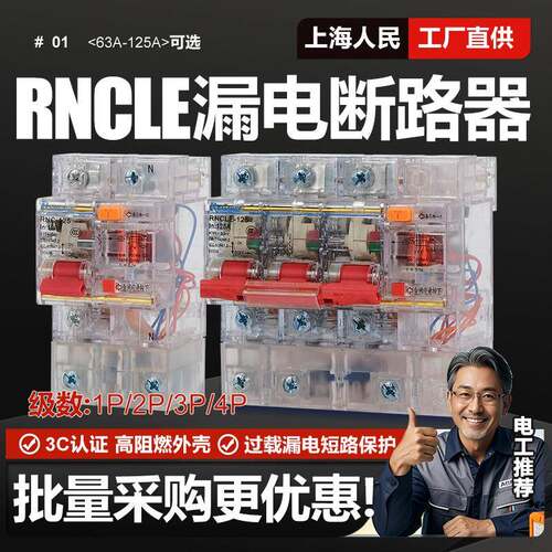 上海人民漏电保护器小型漏保DZ47LE1P/2P/3P/4P工地箱漏电63A125A