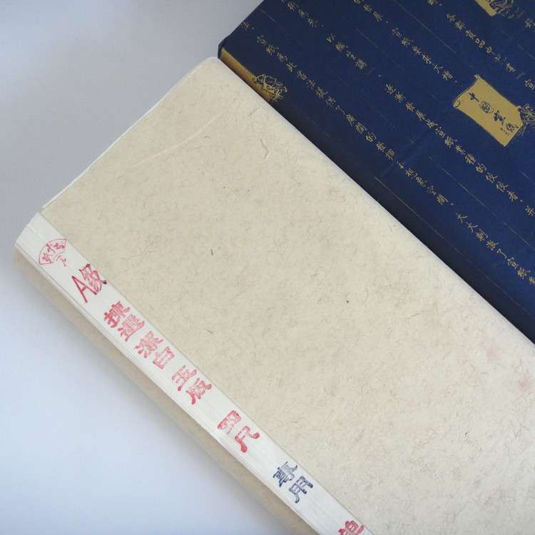 汪新宝宣纸四尺手工生宣花鸟书法国画专用毛笔作品宣山水专用加厚