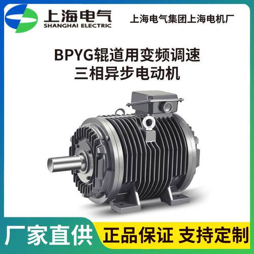 上海上电上海电气集团上海电机厂BPYG辊道用变频调速三相异步电机