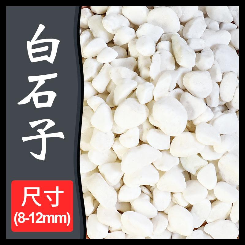 石子多鹅卵石雨花石小白栽培基质