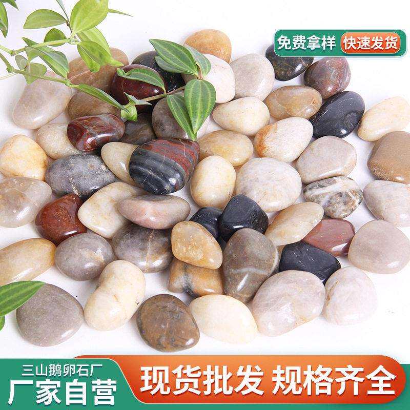 五彩抛光鹅卵石厂家园林景观彩色雨花石庭院造景装饰石头