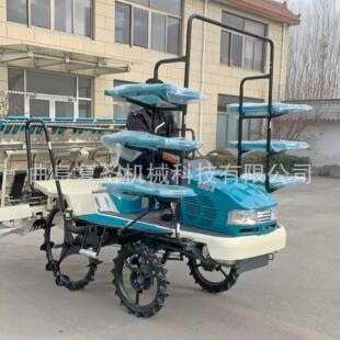乘坐高速水稻插秧机6行8行自走式农用水稻秧苗精准种植机
