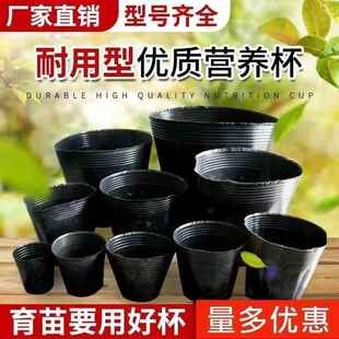 槟榔营养育苗杯专用栽苗营养钵菜苗加厚育苗袋塑料杯玉米辣椒袋装