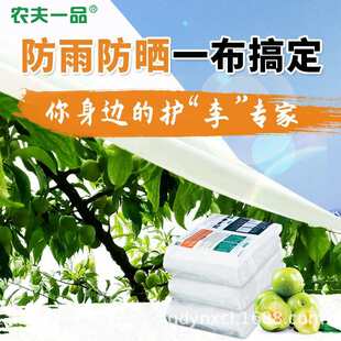 农夫一品果树防雨布防水防裂果李子樱桃透光透气耐拉伸抗风护李布