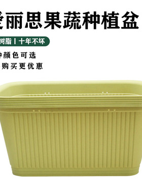 长方形丽思种菜花盆花盆花盆花瓶
