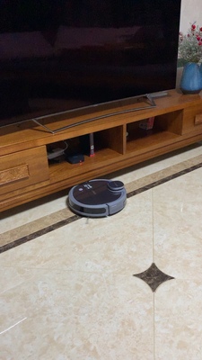 扫地机器人科沃斯dn55和DG800哪个好，差别大不大？