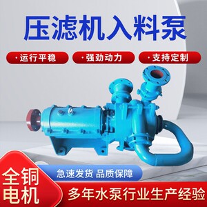 ZJW压滤机入料泵煤泥抽沙泵SYA渣浆泵浮选机泥浆加压杂质泵抽水泵