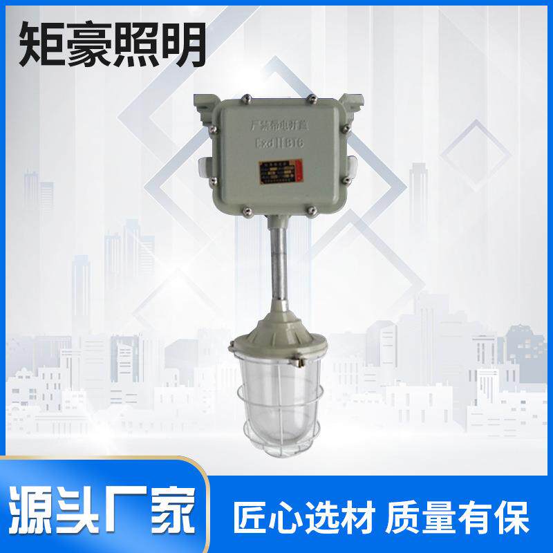 led隔爆防爆灯壳BCD钠灯汞灯金卤灯加油站车间仓库加厚照明灯具