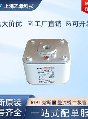 巴斯曼熔断器 170M6426 170M6435 170M6458 170M6459 170M6460