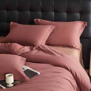 轻奢通20120支支全棉磨毛四件套纯棉保暖被套4床单床笠加厚件套1