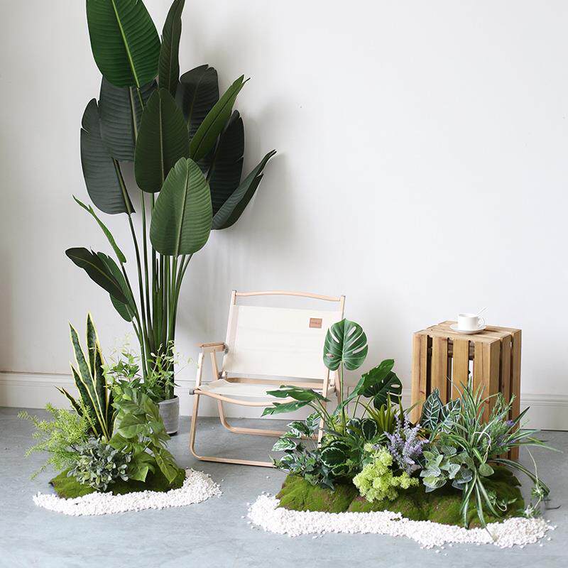 露营风室内植物小景软装摆件仿真青苔绿植造景橱窗展柜装饰仿生景