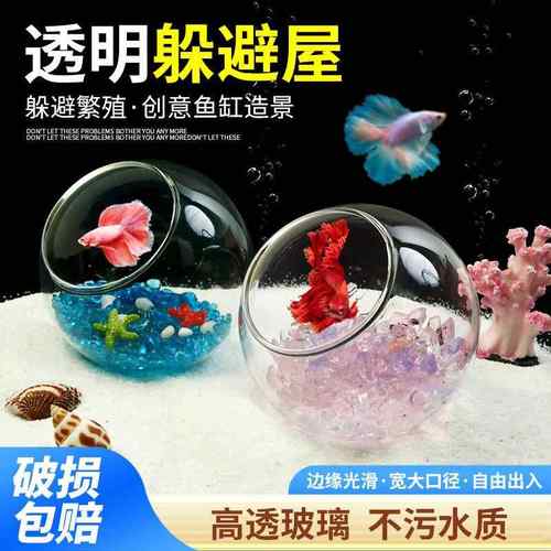 网红鱼缸造景摆件全套小鱼黑壳虾寄居蟹斗鱼观赏鱼小型透明躲避屋