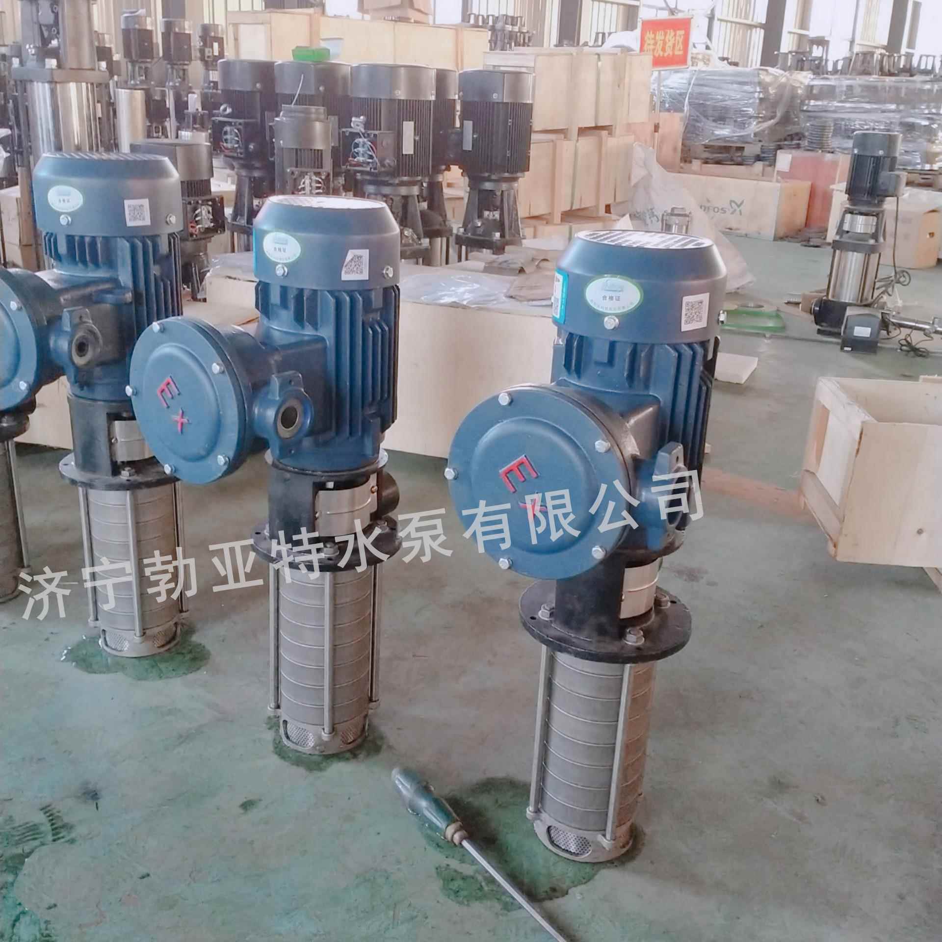 浸入式多级离心泵QDL/CDLY2系列锈钢541液下泵不侵Y式入式立泵多