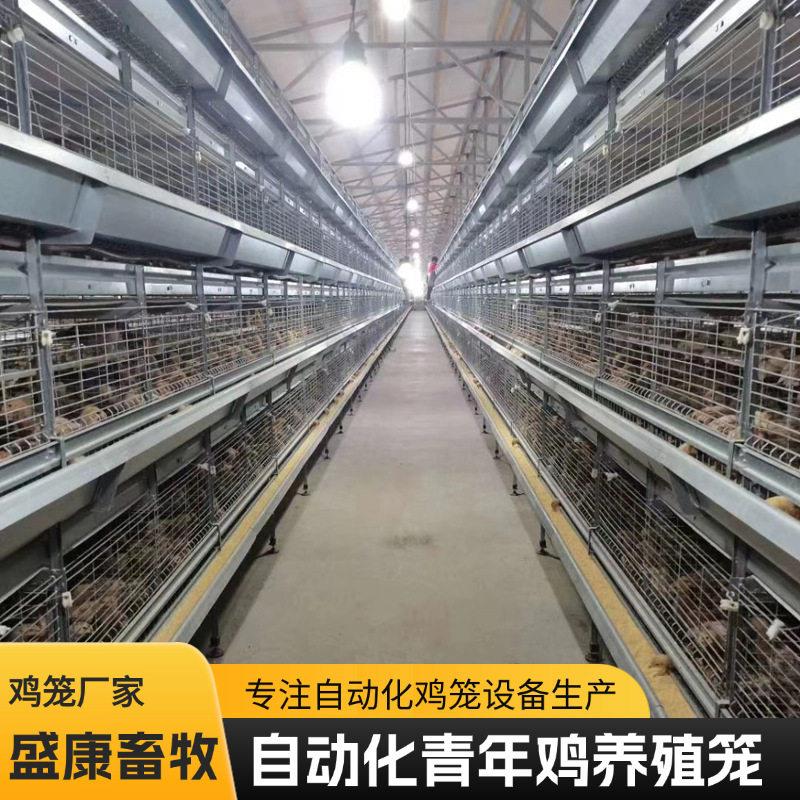 多层叠立式养殖设备养殖场用养鸡青年鸡笼自动清粪养殖设备鸡笼子