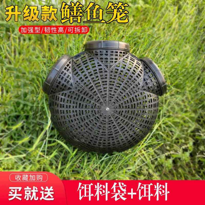 黄鳝笼鳝鱼笼塑料捕黄鳝神器鳝鱼笼子倒须黄善黄鳝笼泥鳅鳝鱼笼
