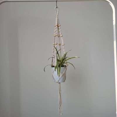 挂篮花盆挂墙吊兰垂吊悬挂现在花架花艺壁挂花盆麻绳装饰创意花架