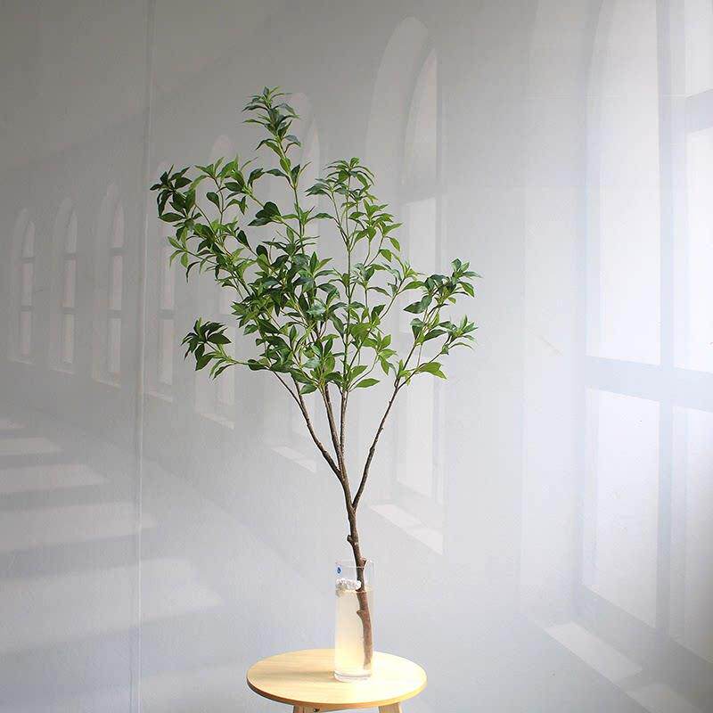 采购产品拟马醉酒木绿色植模物，优雅的可访问的豪BLC华客厅，酒