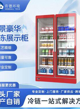 双门冷柜商超酒水饮料立式保鲜冷冻柜多规格便利店展示冰柜定制