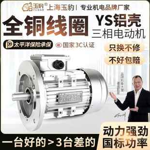 1.5 YS铝壳电机0.37 1.1 0.75 2.2KW三相异步电动机380V全铜 0.55