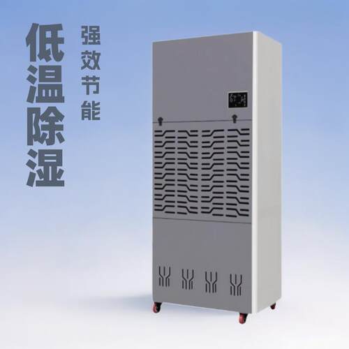 耐低温除湿机冷库抽湿机低温仓库去湿机大功率冷藏库工业除湿机