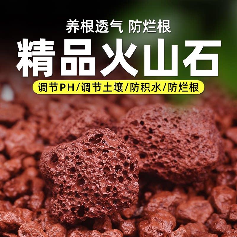 精品火山石颗粒植物铺面促进透气营养土多肉兰花专用天然火山石头
