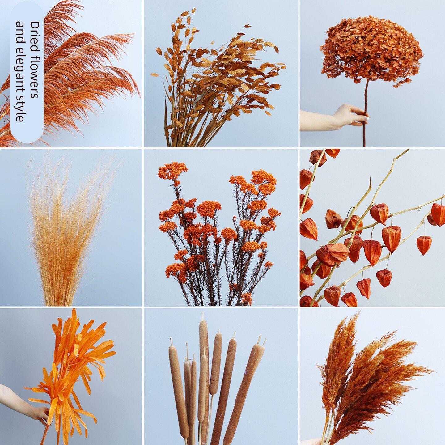 橙色黄色干花秋冬美拉德色系真花永生花芦苇绣球粉黛龙须草吊米花