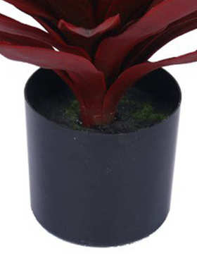 仿真红叶龙舌兰剑兰盆栽沙漠假绿植橱窗装饰摆件热带仿真植物造景