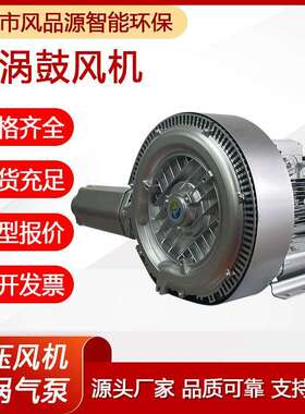 2HB420H462.2KW高压鼓风机河道曝气污水处理漩涡风机直售