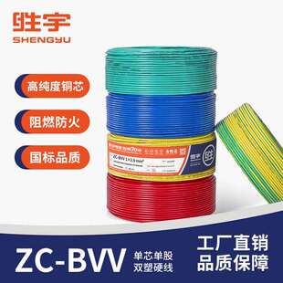 单芯电缆 35平方双塑电线 聚氯乙烯绝缘护套线 BVV