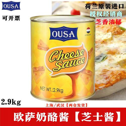 荷兰进口欧萨墨西哥风味切达奶酪酱2.9kg桶车达芝士酱义大利面包