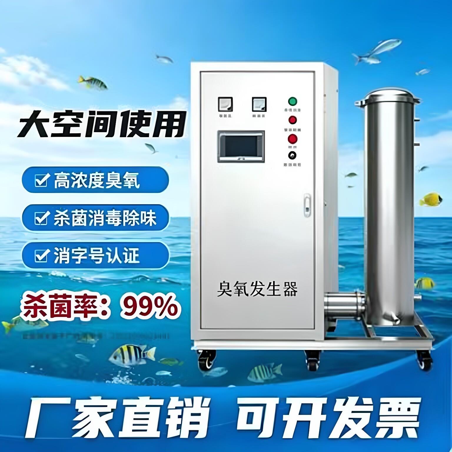 臭氧产生器小型高浓度水产养殖 泳池循环水消毒杀菌除味工业掉色