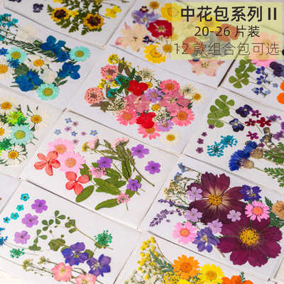 新款组合花包 干花压花材料包diy滴胶相框台灯押花真树叶植物标本