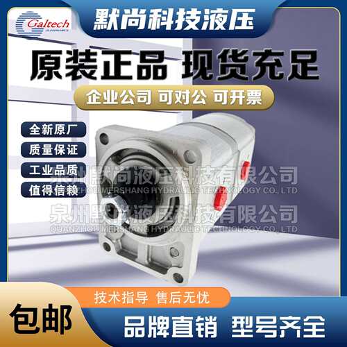 高泰克Galtech齿轮马达2SM-G-140-D-EUR-H-N-10-G齿轮泵 液压马达