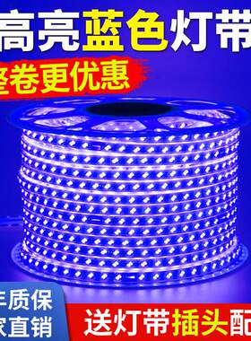 家用客厅顶棚220V蓝光条超亮Ktv招牌灯箱装饰条灯
